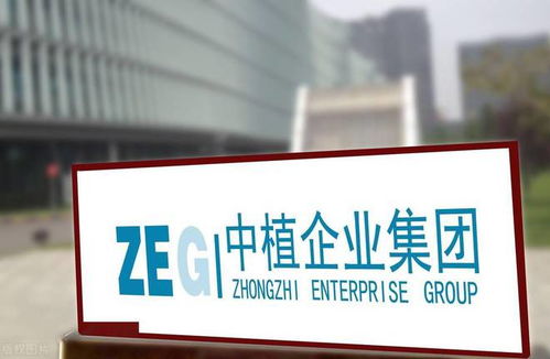 中植系暴雷啟示錄 底層資產的真相遠比“虛幻承諾”更重要
